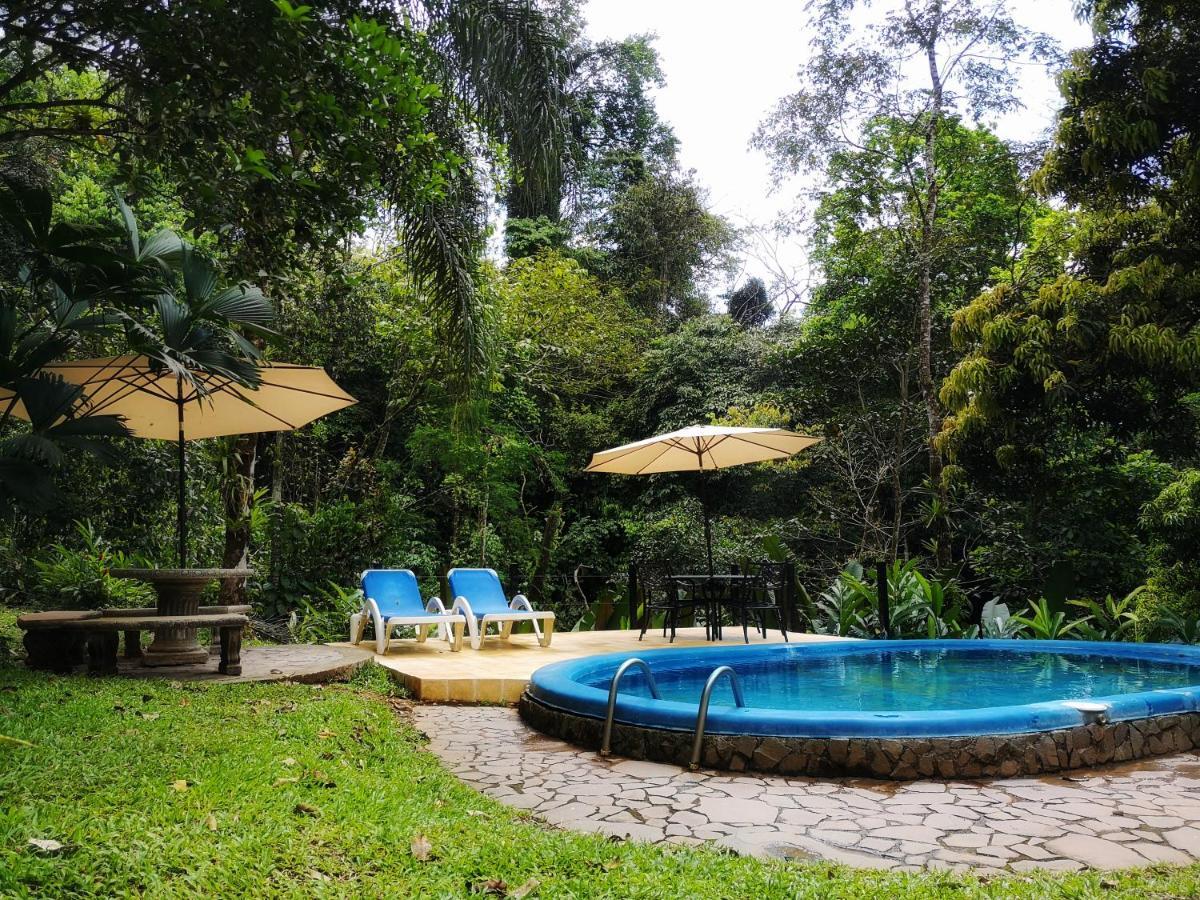 Casa Cedro - Portasol Vacation Rentals Matapalo  Exterior foto